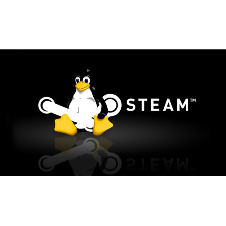 Con cupos limitados comienza el beta de Steam para Linux.