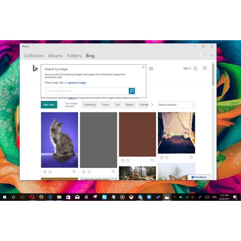 App de Fotos para Windows 10 integrar a Bing