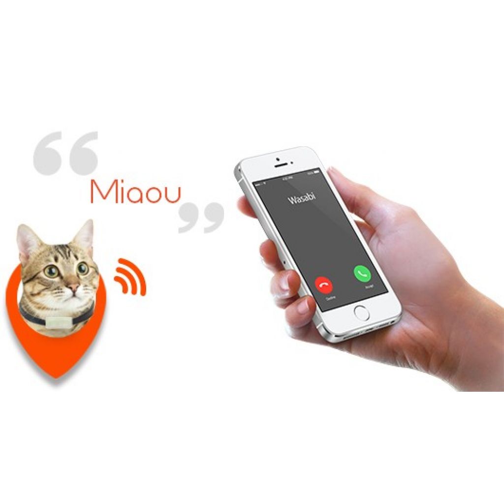 Mi gato se escapa de casa: cómo funciona un collar GPS para gatos