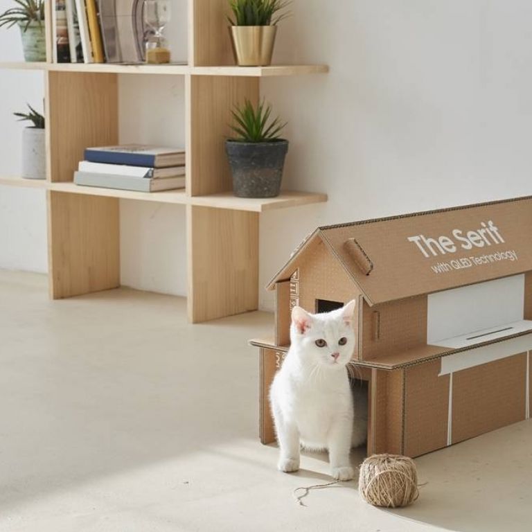 Samsung presenta un nuevo empaque ecolgico para sus productos, que de seguro tu gato amar
